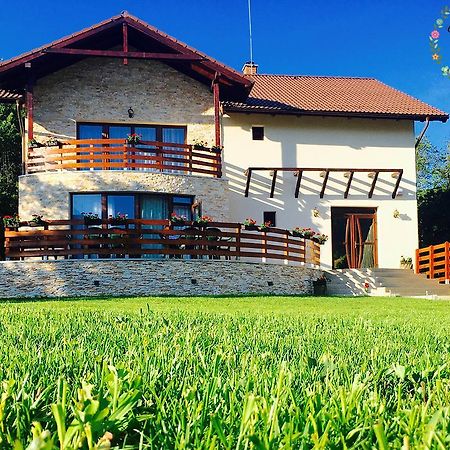 Pensiunea Casa Florela Capusu Mic 외부 사진