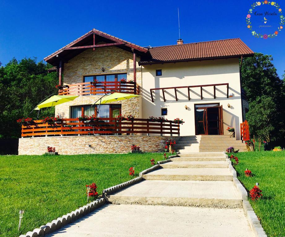 Pensiunea Casa Florela Capusu Mic 외부 사진